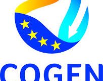 Cogen Europe name new managing director